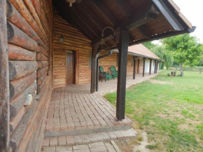 Hotels in Općina Čađavica